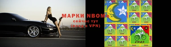 прущие грибы Алзамай