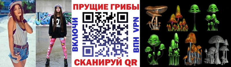 Псилоцибиновые грибы Magic Shrooms  Трубчевск 