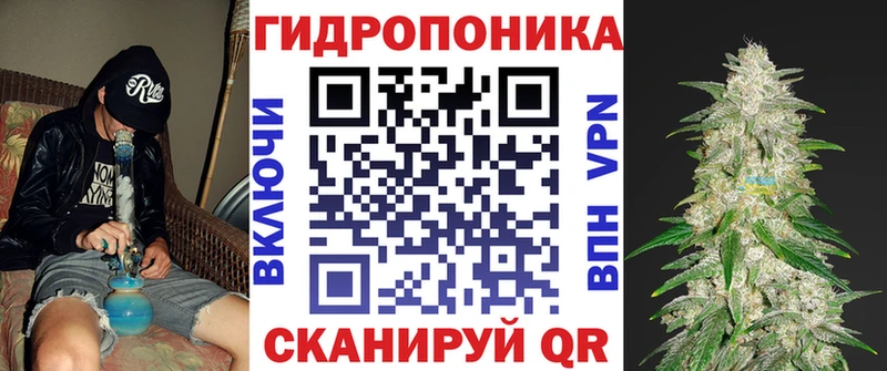 закладка  Трубчевск  Каннабис SATIVA & INDICA 
